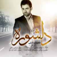 Majid Velayati - Delshooreh