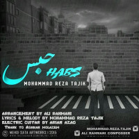 Mohammadreza Tajik - Habs
