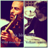 Milad Derakhshani - Its Blue Here