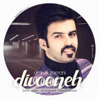 Amirali Zamani - Divooneh