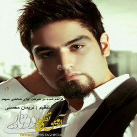 Armin Taghipour - Dotayi