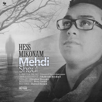 Mehdi Shoul - Hess Mikonam