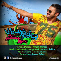 Behrooz Sektor - Jonoom Farideh