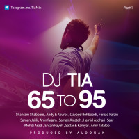 Dj Tia - 65 To 95 ( Part 1 )