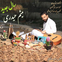 Meisam Heidari - Sale Jadid