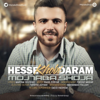 Mojtaba Shoja - Hesse Khoobi Daram