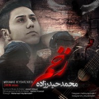 Mohammad Heydarzadeh - Zakhm