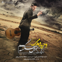 Vahid Dendi - Del Shekaste