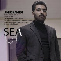 Amir Hamidi - Darya