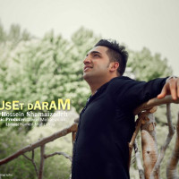 Amirhossein Shamaizadeh - Duset Daram