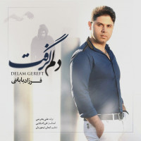 Farzad Babaei - Delam Gereft