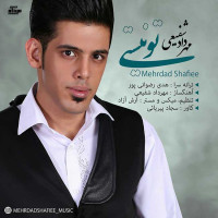 Mehrdad Shafiee - To Nisti