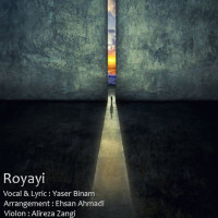 Yaser Binam - Royaei