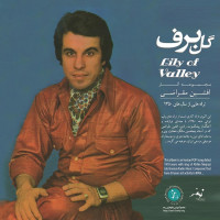 Afshin Meghrazi - Gole Barf