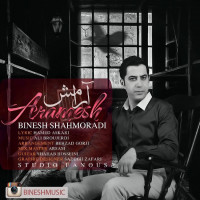 Binesh Shahmoradi - Aramesh