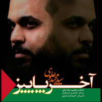 Seyed Majid Alavi - Akhare Paeiz