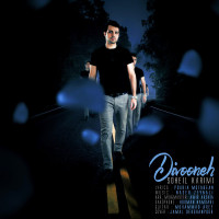 Soheil Karimi - Divooneh
