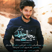 Pouya Saleki - Ye Hale Jadid