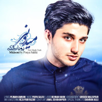 Pouya Saleki - Midooni