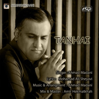 Ahmad Madani - Tanhaei
