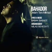 Bahador - Delam Toro Mikhad