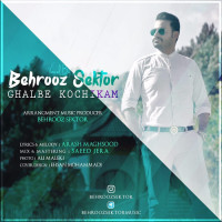 Behrooz Sektor - Ghalbe Kochikam