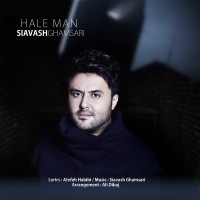 Siavash Ghamsari - Hale Man