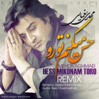 Mehdi Yaghmaei - Hess Mikonam Toro ( Remix )