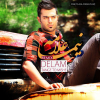 Nima Allameh - Delam Tange To Mishe ( Remix )