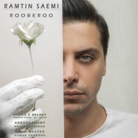 Ramtin Saemi - Rooberoo