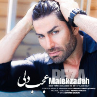 Reza Malekzadeh - Ajab Deli