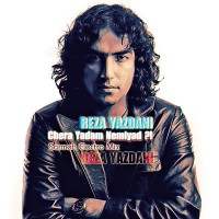 Reza Yazdani - Chera Yadam Nemiad ( Remix )