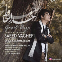 Saeed Vaghefi - Khodahafez