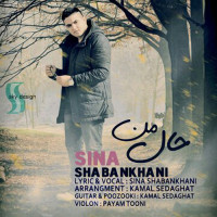 Sina Shabankhani - Hale Man