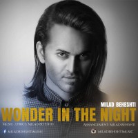 Milad Beheshti - Wonder In The Night