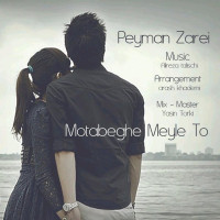 Peyman Zarei - Bi Gharar