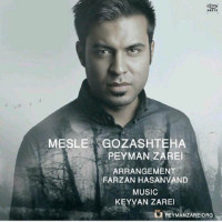 Peyman Zarei - Mesle Gozashteha