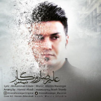 Alireza Roozegar - Nime Man