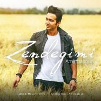 Amir Masoud - Zendegimi