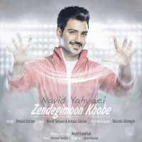 Navid Yahyaei - Zendegimoon Khoobe