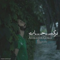Ashkmehr Gorji - Nargese Cheshat