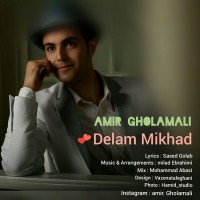 Amir Gholamali - Delam Mikhad
