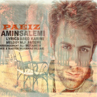 Amin Salemi - Paeiz