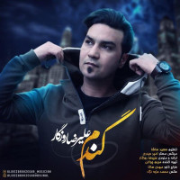 Alireza Roozegar - Gandom