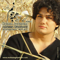 Mohsen Ghorbani - Hame Joonam ( Remix )