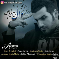 Amin Fayyaz - Ye Soal