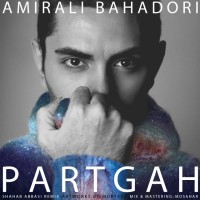 Amirali Bahadori - Partgah ( Remix )