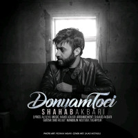 Shahab Akbari - Donyam Toei