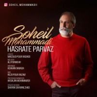 Soheil Mohammadi - Hasrate Parvaz