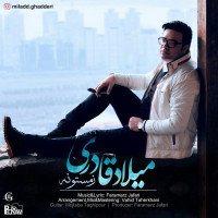 Milad Ghaderi - Zemestooneh